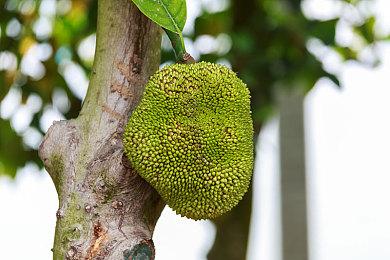 EA首个《WRC》游戏11月发售 标准版游戏50美元